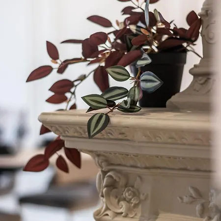 Terrific First-class In Town Center *