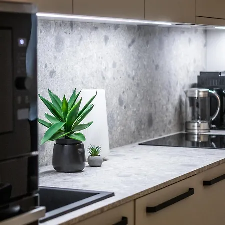 Terrific First-class In Town Center Apartment